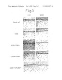 Method of Production of Artificial Skin diagram and image