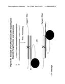 RNA interference mediated inhibition of sterol regulatory element binding protein 1 (SREBP1) gene expression using short interfering nucleic acid (siNA) diagram and image
