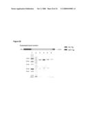 NOVEL GENES RELATED TO GLUTAMINYL CYCLASE diagram and image