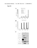 NOVEL GENES RELATED TO GLUTAMINYL CYCLASE diagram and image