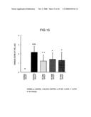 Preventive or Therapeutic Agent for Chronic Inflammatory Lung Disease diagram and image