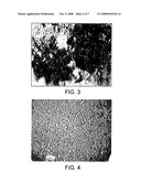 Nematicidal Fatty Acid and Fatty Acid Ester Related Compounds diagram and image