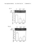 Animal Model for Studying Atherosclerotic Lesions diagram and image