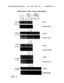 Methods of treating cancer with HDAC inhibitors diagram and image