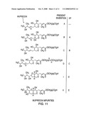 Processes for preparing crystalline and amorphous mupirocin calcium diagram and image