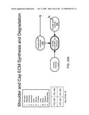 Method and Apparatus for Modeling Atherosclerosis diagram and image