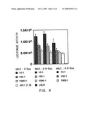 Expression Systems Using Mammalian Beta-Actin Promoter diagram and image