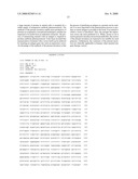 Expression Systems Using Mammalian Beta-Actin Promoter diagram and image