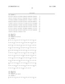 Expression Systems Using Mammalian Beta-Actin Promoter diagram and image