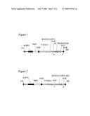 METHOD OF SELECTIVELY PRODUCING MALE OR FEMALE STERILE PLANTS diagram and image