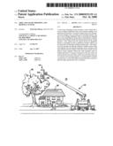 Tree and stump trimming and removal system diagram and image