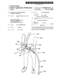 Cordless Electric Powered Concrete Vibrator diagram and image