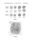 Regional Fingerprint Liveness Detection Systems and Methods diagram and image