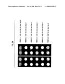 Substrate for Biochip and Method for Manufacturing Substrate for Biochip diagram and image