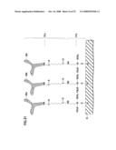 Substrate for Biochip and Method for Manufacturing Substrate for Biochip diagram and image