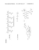 MULTI-FUNCTIONAL POLYGLUTAMATE DRUG CARRIERS diagram and image