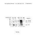 CASPASE-8 BINDING PROTEIN, ITS PREPARATION AND USE diagram and image