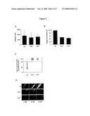 Prevention of Thrombus Formation and/or Stabilization diagram and image