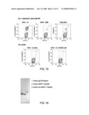 Multivariable Antigens Complexed with Targeting Humanized Monoclonal Antibody diagram and image