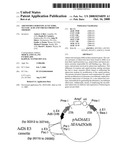 Adenovirus Serotype 26 Vectors, Nucleic Acid and Viruses Produced Thereby diagram and image