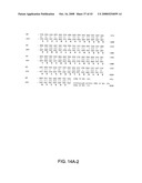 Adenovirus Serotype 26 Vectors, Nucleic Acid and Viruses Produced Thereby diagram and image