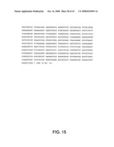 Adenovirus Serotype 26 Vectors, Nucleic Acid and Viruses Produced Thereby diagram and image