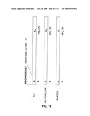 Adenovirus Serotype 26 Vectors, Nucleic Acid and Viruses Produced Thereby diagram and image