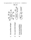 Mycobacteria Expressing Hiv-1 and Malaria Antigens diagram and image