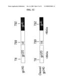 Mycobacteria Expressing Hiv-1 and Malaria Antigens diagram and image