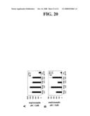 Mycobacteria Expressing Hiv-1 and Malaria Antigens diagram and image