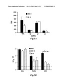 USE OF AN AVIRULENT BORDETELLA MUTANT AS A LIVE VACCINE VECTOR diagram and image