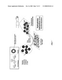 Advanced functional biocompatible polymeric matrix containing nano-compartments diagram and image