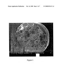 Micropellet Containing Pellets and Method of Preparing Such Pellets diagram and image