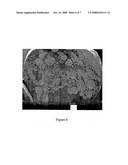 Micropellet Containing Pellets and Method of Preparing Such Pellets diagram and image