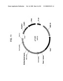 MULTIZYMES AND THEIR USE IN MAKING POLYUNSATURATED FATTY ACIDS diagram and image