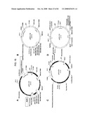 MULTIZYMES AND THEIR USE IN MAKING POLYUNSATURATED FATTY ACIDS diagram and image