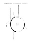 MULTIZYMES AND THEIR USE IN MAKING POLYUNSATURATED FATTY ACIDS diagram and image