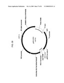 MULTIZYMES AND THEIR USE IN MAKING POLYUNSATURATED FATTY ACIDS diagram and image