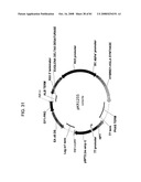 MULTIZYMES AND THEIR USE IN MAKING POLYUNSATURATED FATTY ACIDS diagram and image