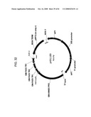 MULTIZYMES AND THEIR USE IN MAKING POLYUNSATURATED FATTY ACIDS diagram and image