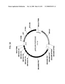 MULTIZYMES AND THEIR USE IN MAKING POLYUNSATURATED FATTY ACIDS diagram and image