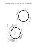 MULTIZYMES AND THEIR USE IN MAKING POLYUNSATURATED FATTY ACIDS diagram and image