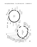 MULTIZYMES AND THEIR USE IN MAKING POLYUNSATURATED FATTY ACIDS diagram and image