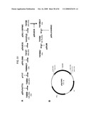 MULTIZYMES AND THEIR USE IN MAKING POLYUNSATURATED FATTY ACIDS diagram and image