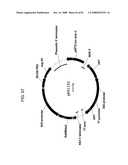 MULTIZYMES AND THEIR USE IN MAKING POLYUNSATURATED FATTY ACIDS diagram and image