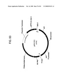 MULTIZYMES AND THEIR USE IN MAKING POLYUNSATURATED FATTY ACIDS diagram and image