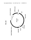 MULTIZYMES AND THEIR USE IN MAKING POLYUNSATURATED FATTY ACIDS diagram and image