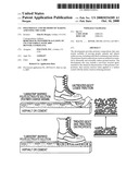 POLYMER ICE AND METHODS OF MAKING AND USING THE SAME diagram and image