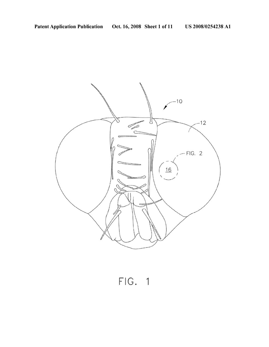 METHOD AND APPARATUS FOR SCALED UP REPRODUCTION OF DETAILED FEATURES - diagram, schematic, and image 02