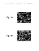 CATHODE ACTIVE MATERIAL, CATHODE, NONAQUEOUS ELECTROLYTE BATTERY, AND METHOD FOR MANUFACTURING CATHODE diagram and image